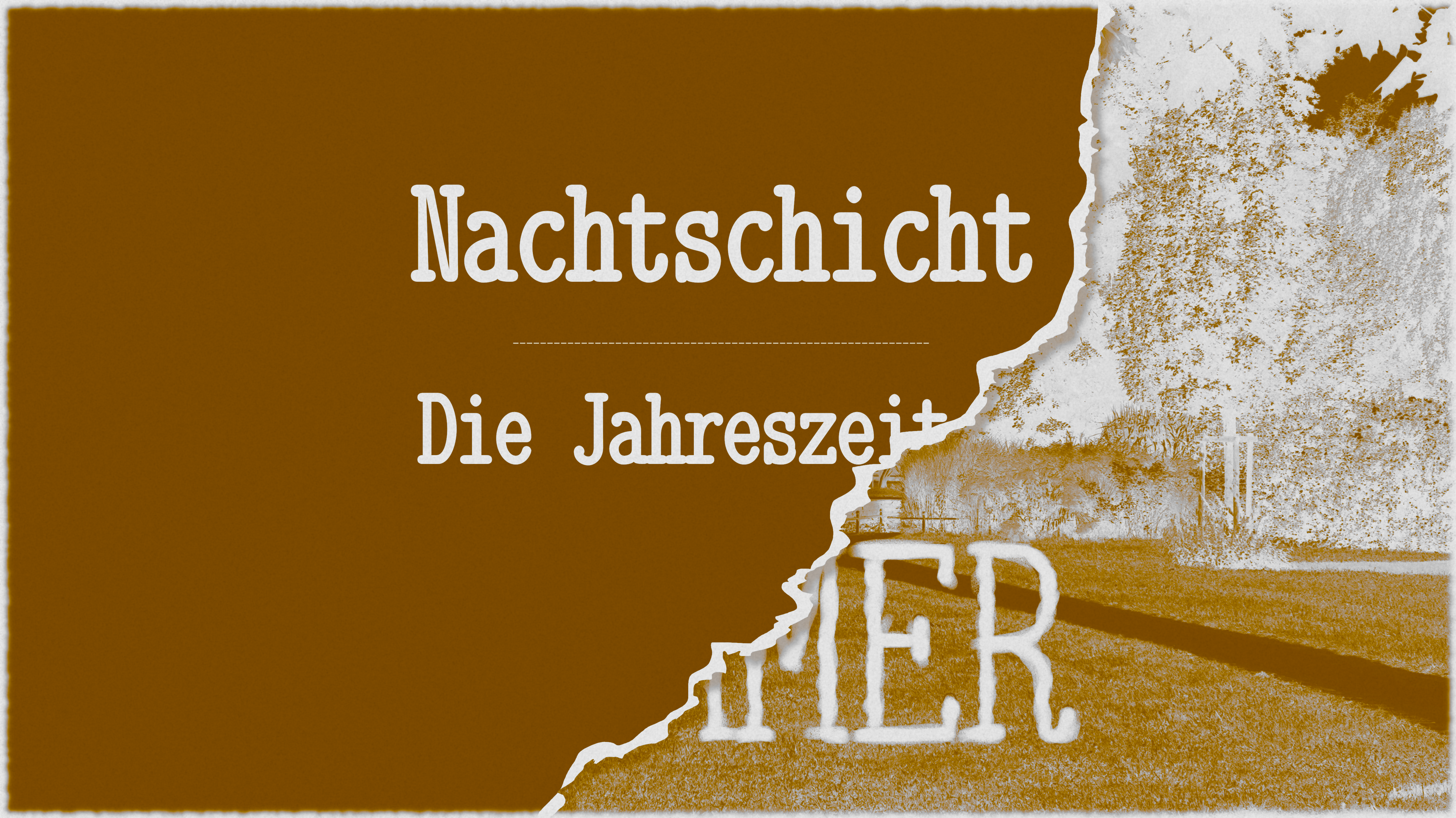 Kreisler zu Besuch 2: Die Nachlesung